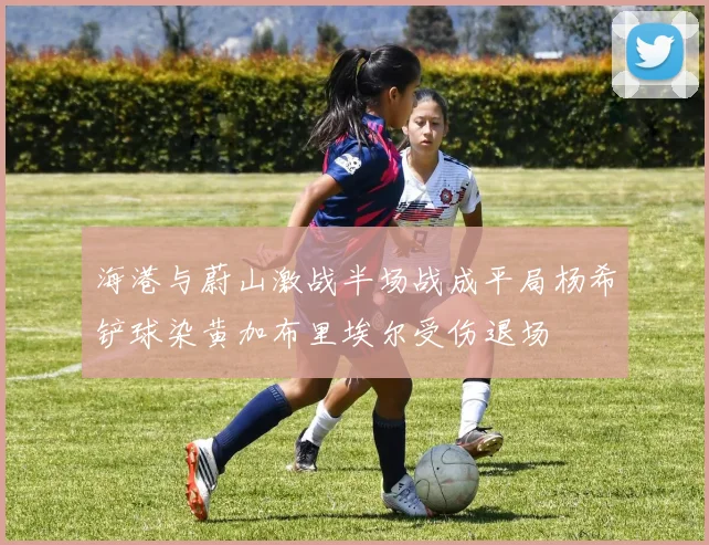 海港与蔚山激战半场战成平局杨希铲球染黄加布里埃尔受伤退场