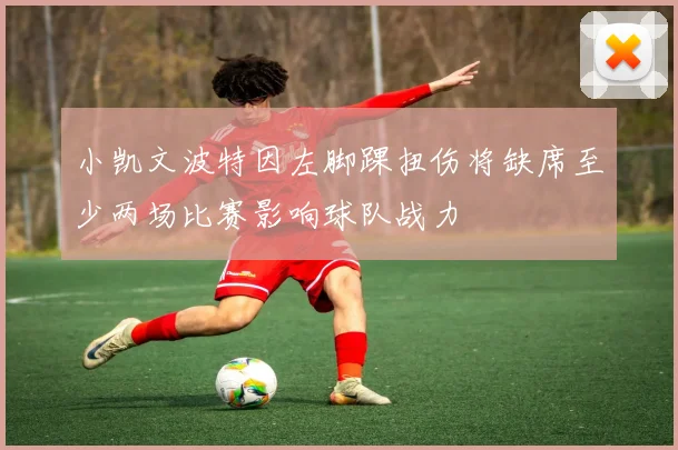 小凯文波特因左脚踝扭伤将缺席至少两场比赛影响球队战力
