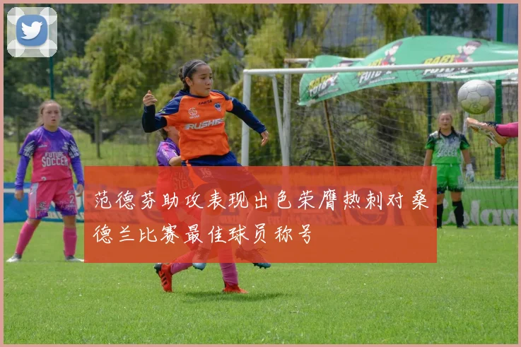 范德芬助攻表现出色荣膺热刺对桑德兰比赛最佳球员称号