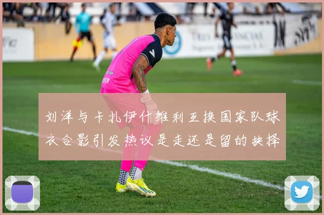 刘洋与卡扎伊什维利互换国家队球衣合影引发热议是走还是留的抉择时刻