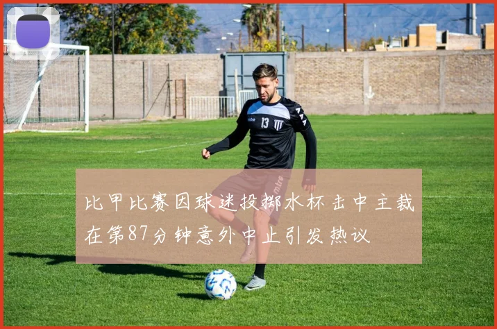 比甲比赛因球迷投掷水杯击中主裁在第87分钟意外中止引发热议