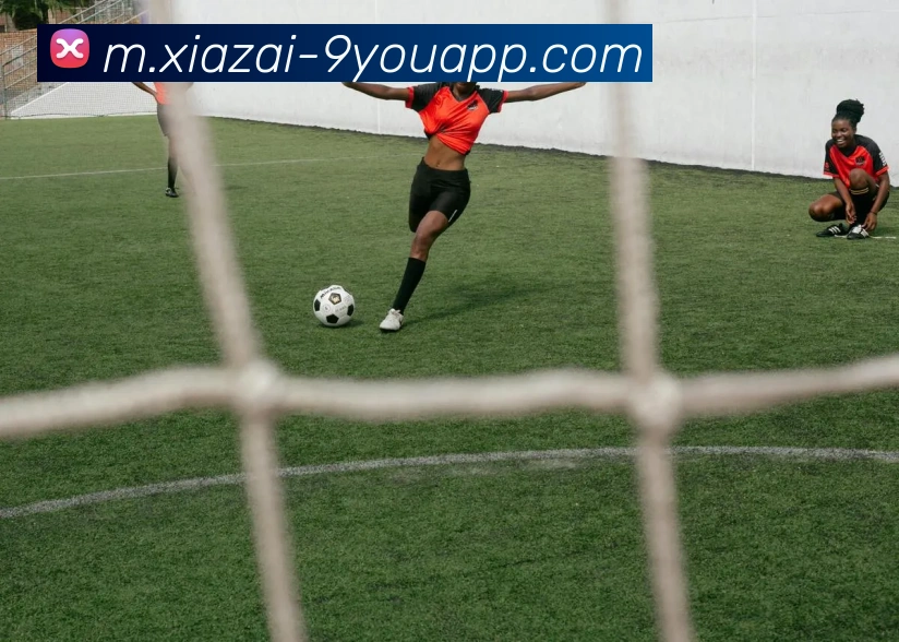 九游娱乐平台生态图