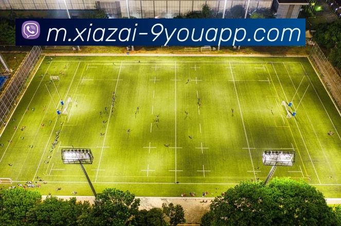 数据防护可视化